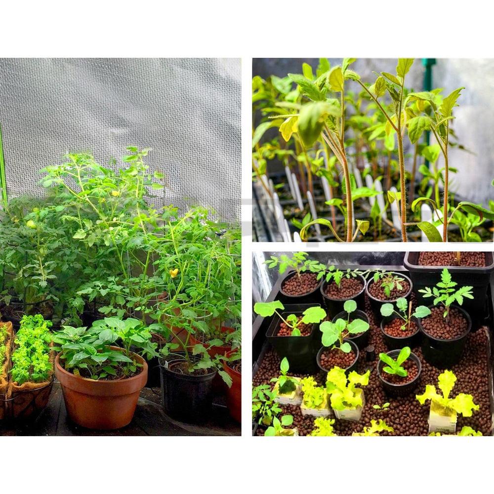 Green Fingers Grow Tent 60x60x90CM Hydroponics Kit Indoor Plant Room
