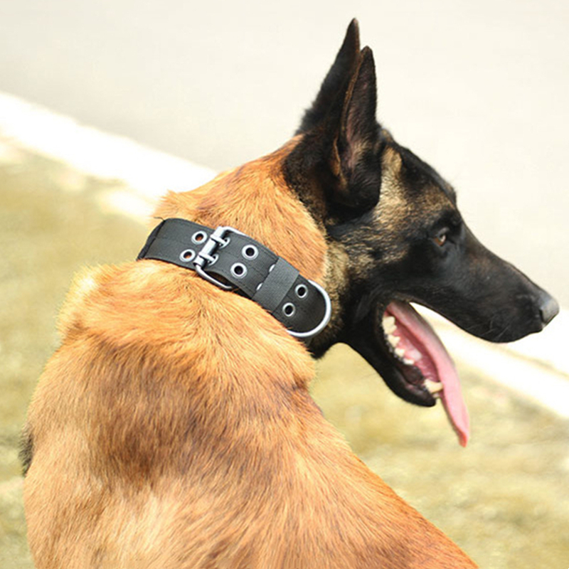 2" Wide Tactical Heavy Duty Nylon Large Dog Collar K9 Military With