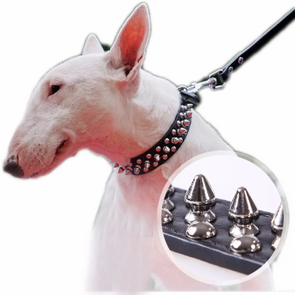 Spiked Studded Leather Dog Collar Rivets Pet Small Large Cat Pit Bull